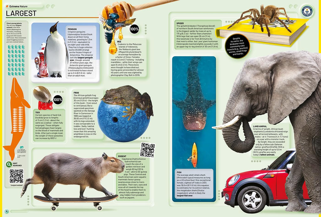 3a51e73f-2c9a-49e8-8719-6f112f969eae