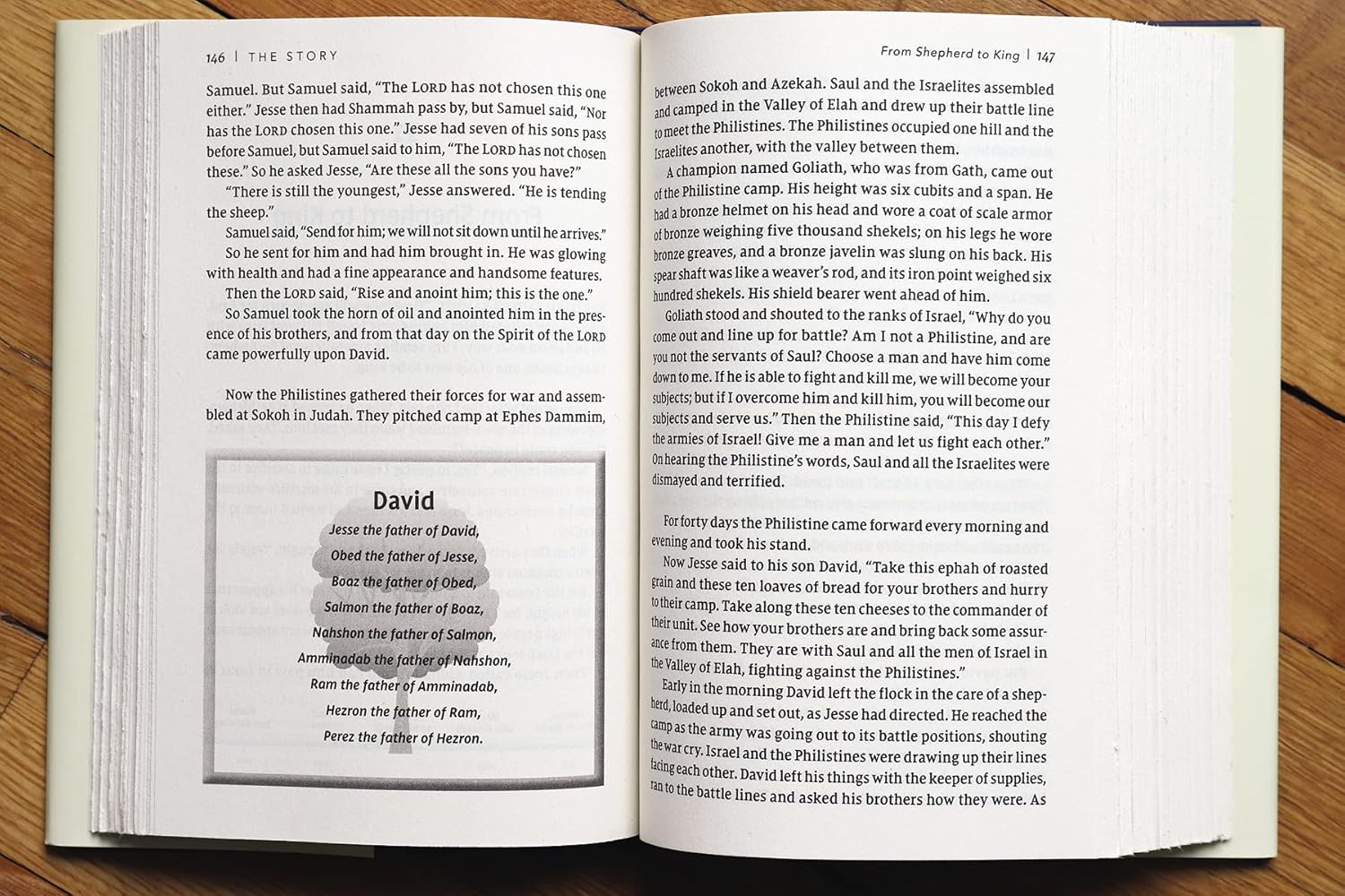 NIV, The Story, Hardcover, Comfort Print: The Bible as One Continuing Story of God and His People