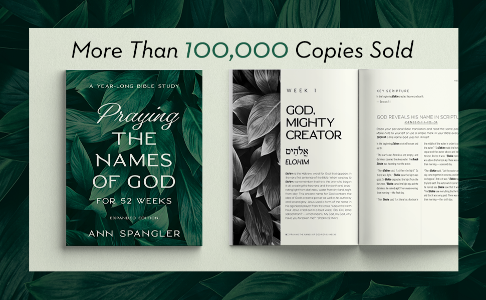 830cbaca-0a78-4566-9353-05d072482d6f