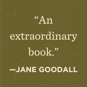 9201e19d-1508-4579-bc34-a6e981e31f85