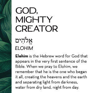 9080bd7f-c4ae-4acd-8e97-f9161cdf3358