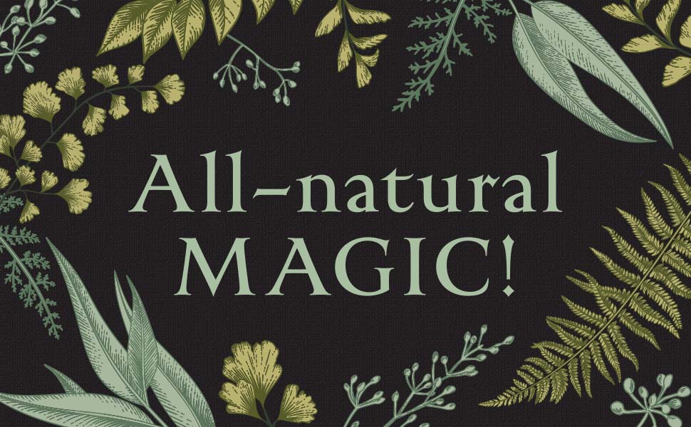 d491aba4-f54e-458a-9818-f2e902da8718