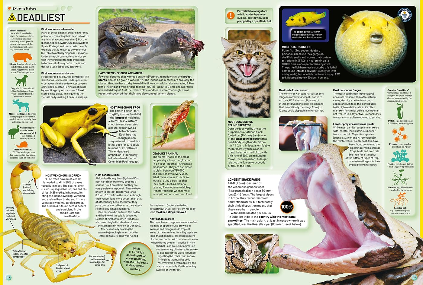 570139e6-b3bb-4945-ba34-e29b77668e64