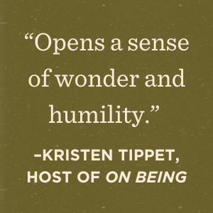 41b71397-ccad-44ca-baca-fd7d00db4462