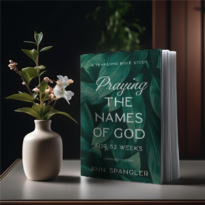 9f005f94-a05f-4bf8-9683-f1e41b662263